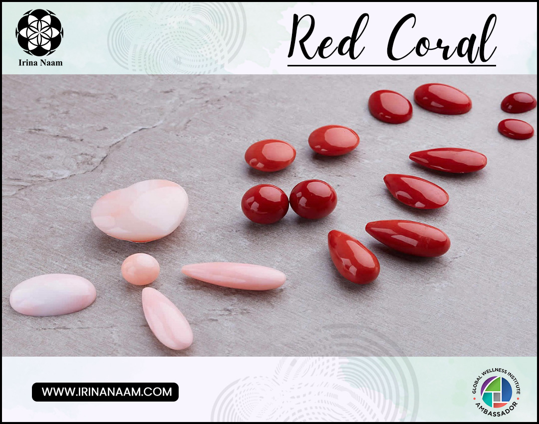 What is Red Coral ?